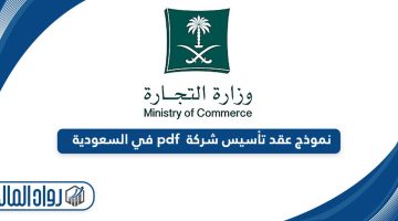 تحميل نموذج عقد تأسيس شركة pdf في السعودية