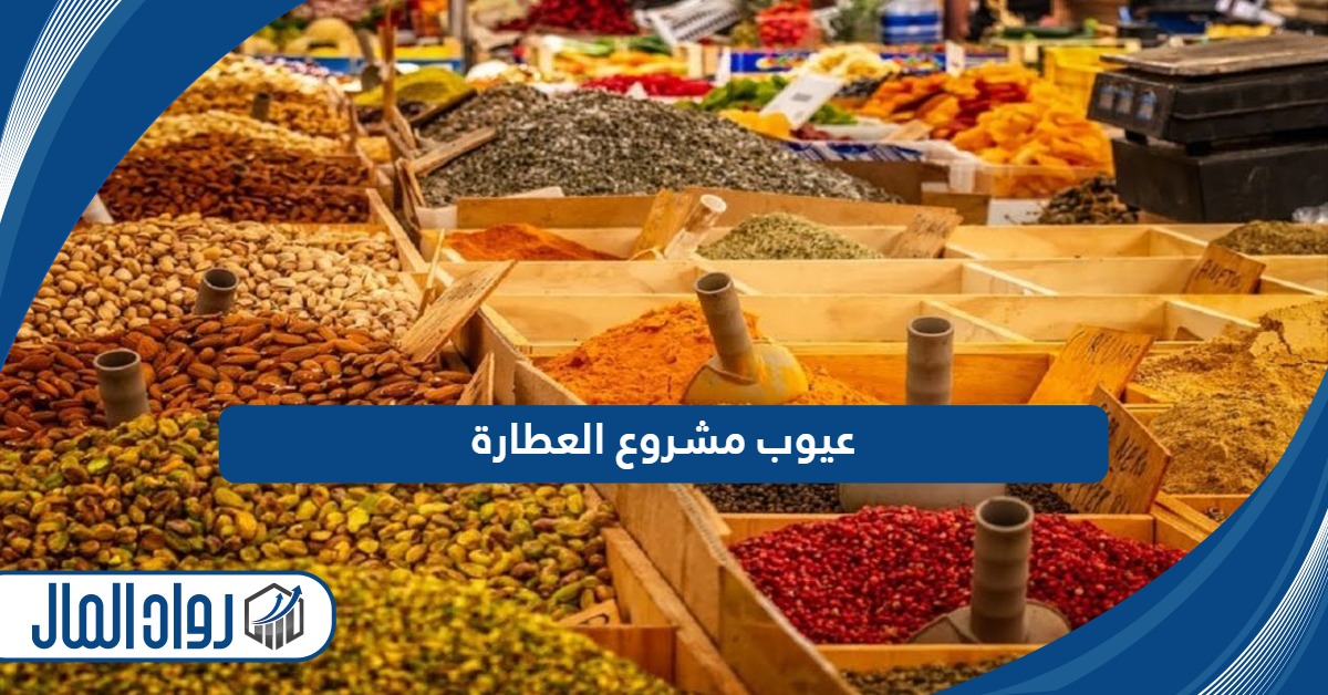 ما هي عيوب مشروع العطارة